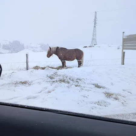 Ap2 2600 Estacio * Эин